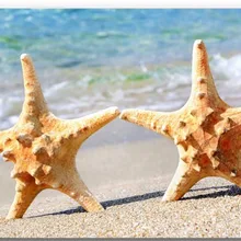 Коврик для двери в комнату aplisia, морская звезда, пляжный, морской, летний, с принтом, 40x60 см, коврик для двери на заказ, домашний декор, ковер, модный ковер