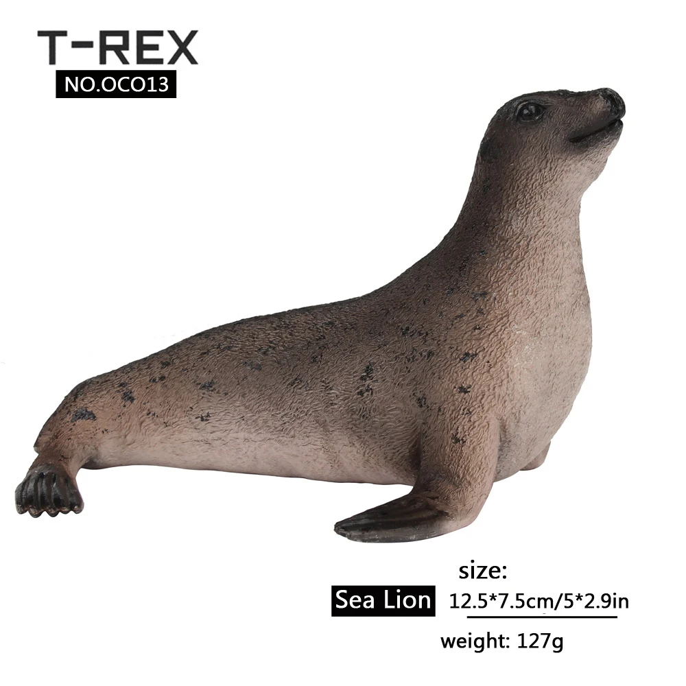 sea-lion