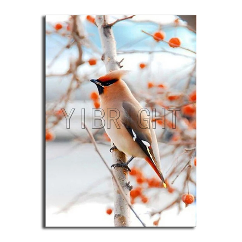 

Full Square Diamond painting birds Full Round Diamond embroidery Cross stitch Cardinals DIY 3D Diamond mosaic animal