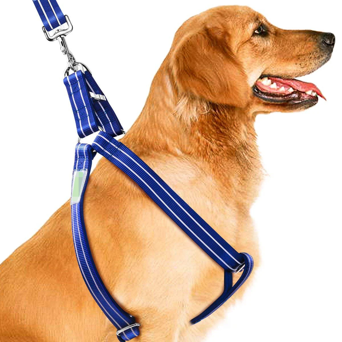 Dog Harness Leash Set, Heavy Duty Metal Buckles Halter Leash for Large