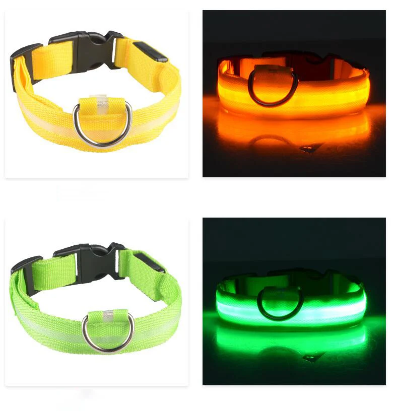 dog collar 1 (2)