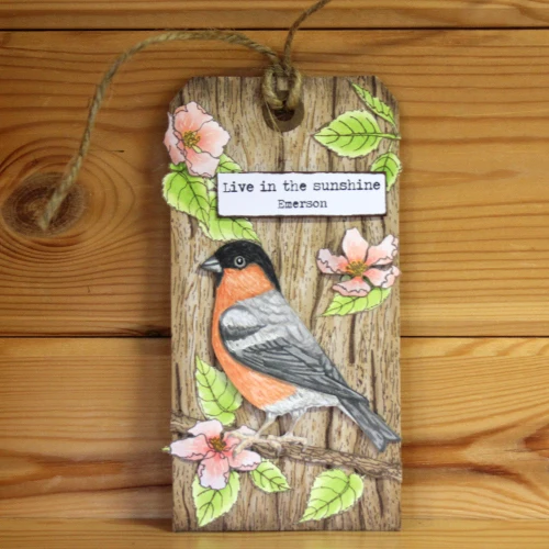 Birds, Bugs & Blossoms - Becki 5