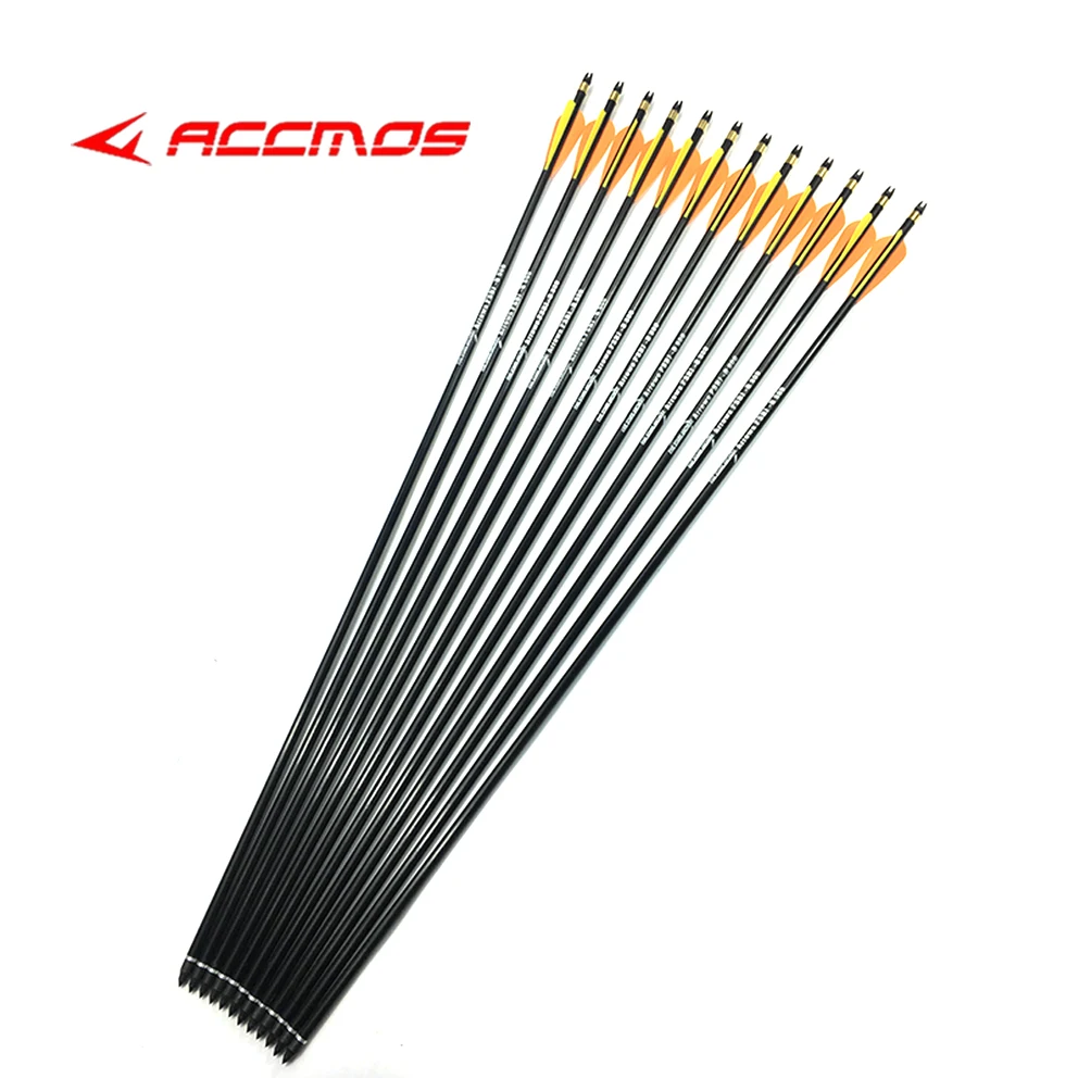 

6/12/24pc SP500 80cm OD8mm Fiberglass Arrow With Replaceable Arrowhead and Nock Proof For Compound/Recurve Bow Hunting Practice