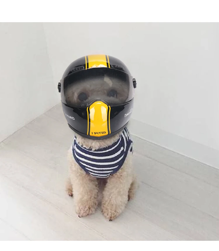 pequeno animal estimação legal moda plástico ao