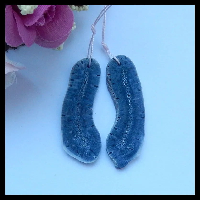 Natural blue coral Earring, Charms Women Earrings Jewelry