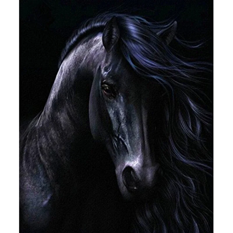 Новинка-сделай сам Алмазная картина Черная лошадь шитье ручной работы художественная вышивка страз Вышивка крестом украшение 30X40 см(12X16 дюймов - Цвет: As shown