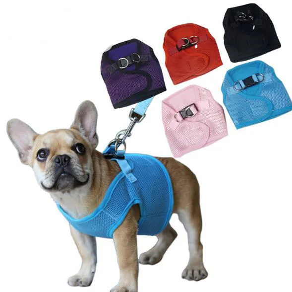 arn/és de perro ajustable y correa Kit de arn/és para perro Aolvo con c/ómodo chaleco acolchado para mascotas peque/ñas y cachorros malla peque/ña transpirable