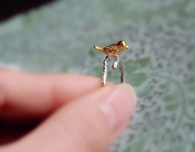 2172597733_823318017