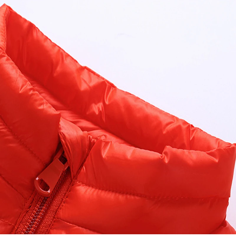 VEST (12)