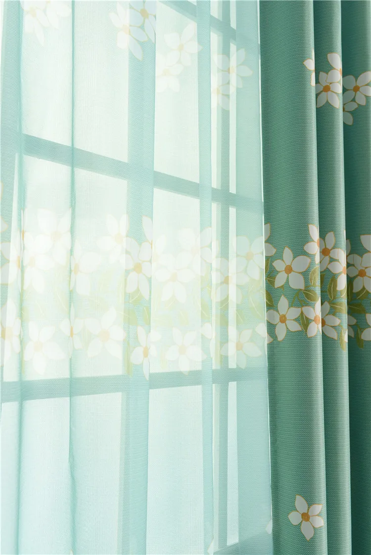 4171556956_1253139405