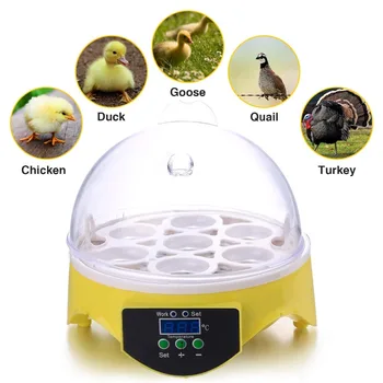 

7 Egg Incubator Digital Mini Egg Incubator Poultry Chicken Duck Bird Hatch Tool Digital Temperature Hatchery Egg Incubator Hatch
