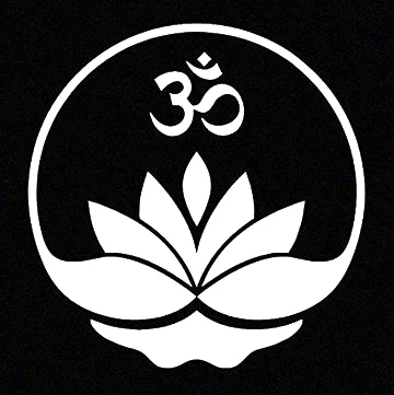 Lotus С OM наклейка с символом профессиональные художественные наклейки для кузова