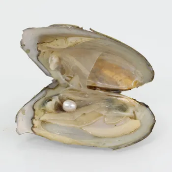 

Bulk Wholesale Choose Form 20 Colors 6-7MM Rice Pearls Vacuum-packed Fresh Water Pearl Oyster For Party Natural White FO009