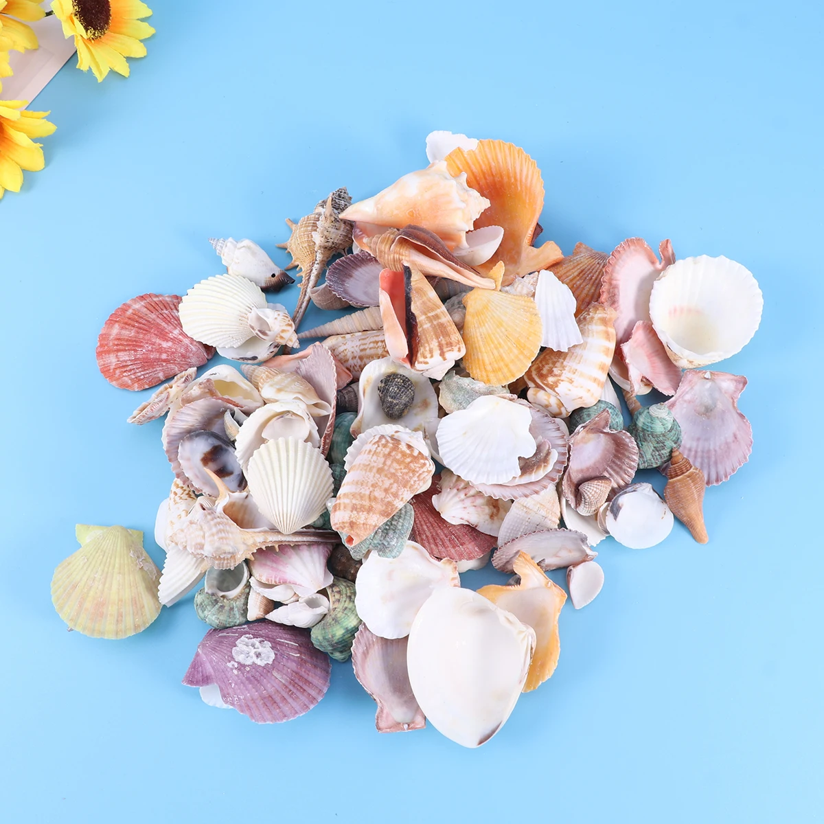 130pcs Colorful Scallop Decoration Mini Sea Shells Mixed Beach Seashells Nonporous Seashells Accents for Candle Making Home 130pcs Colorful Scallop Decoration Mini Sea Shells Mixed Beach Seashells Nonporous Seashells Accents for Candle Making Home