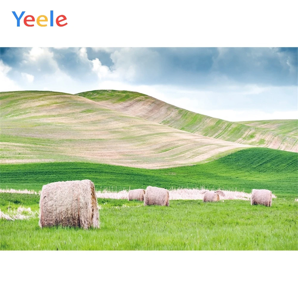 

Yeele Landscape Grass Background Mountain Wheat Rick Photography Backdrop Personalized Photographic Backgrounds For Photo Studio