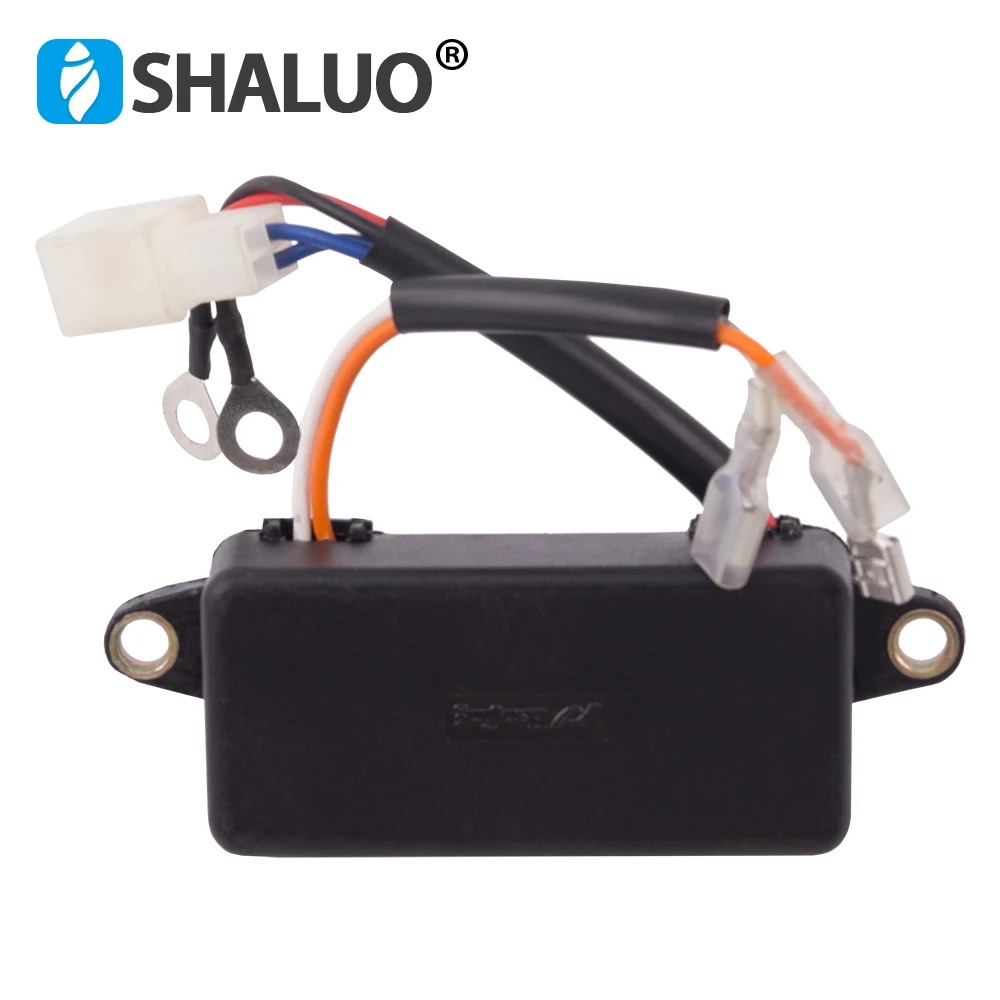 3KW gas AVR (7)
