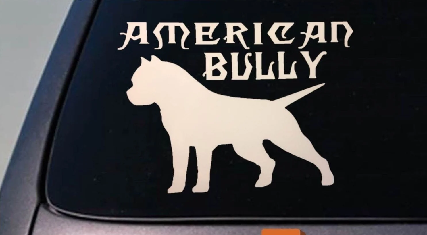 

AMERICAN BULLY Pit Bull Pitbull DOG sticker window decal jl chints Sticker 20cm
