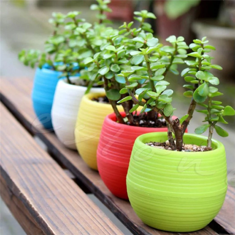 Bunte Mini Runde Kunststoff Blumentopf Kaktus Home Desk Dekoration YEG