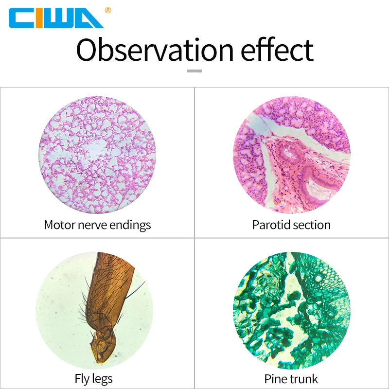 CIWA 640X монокулярный микроскоп бинокль HD биологическое зеркало прямо животных и растений анализ крови Инструмент Микроскоп