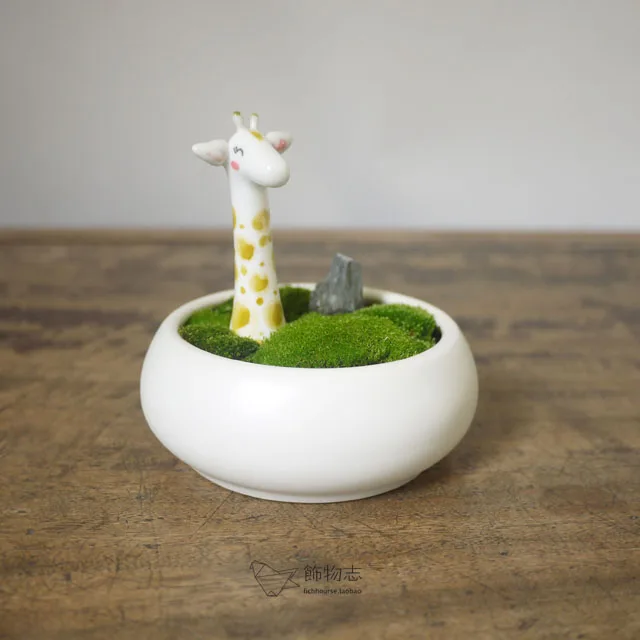 Accoutering ceramic flower pot fleshier plant small flower pot office