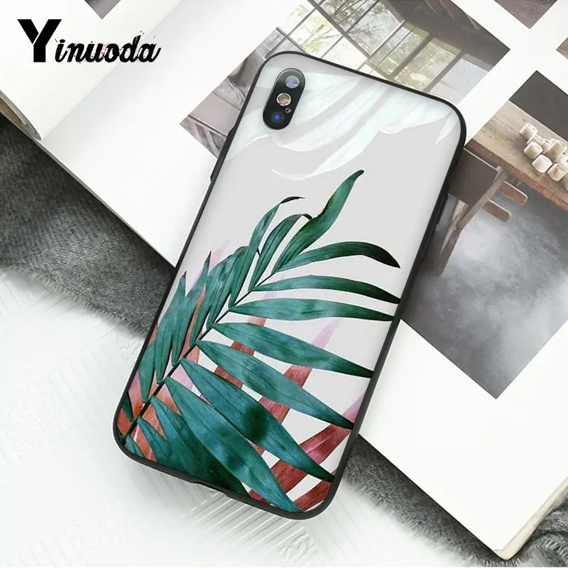 Summer Palm Leaf Banana Leaf Flowers Plants