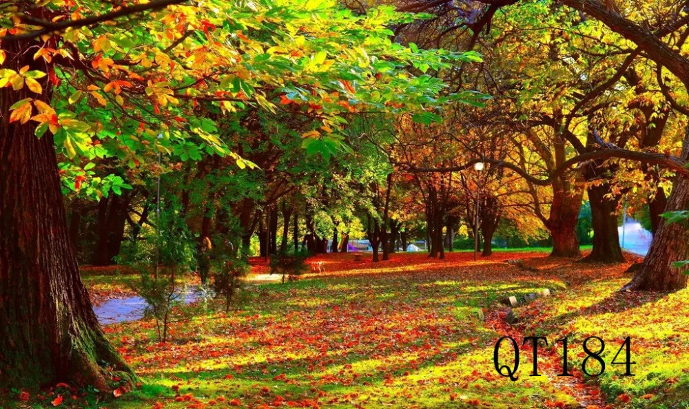 QT184