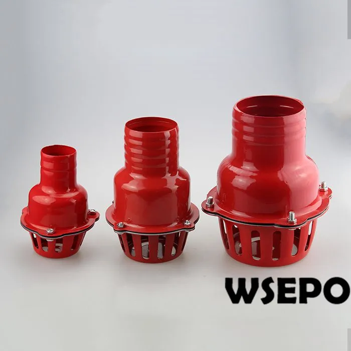 2,3,4inch iron bottom valve