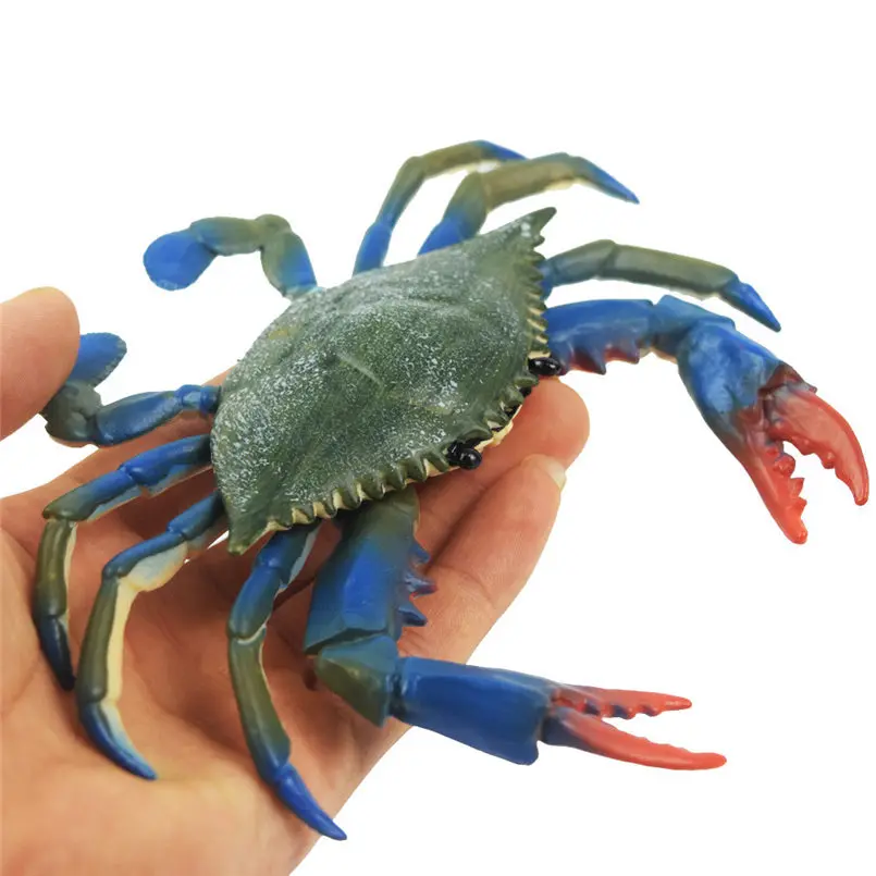

Education Simulated Crab Model Cartoon Summer Wash Toy Bathroom Playing Water Gifts Toy For Girls and Boys 20