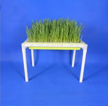 

Newest 1 Set 2-layer Nursery Trays Support for Bean Sprouts Seedling Tray Dishes Wheat Seedlings Nursery Pots Home Plant Tools