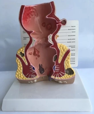 TB2A4QvdNhmpuFjSZFyXXcLdFXa_!!1681109402.jpg_400x400.jpg_.webp