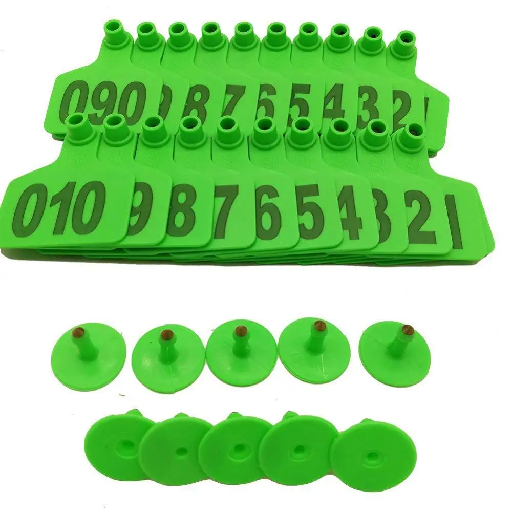 Targhette Per Orecchio Bestiame - 100 Pezzi Vuoti Viola Per Bovini, Pecore, Capre - Foto 7