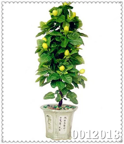 potted