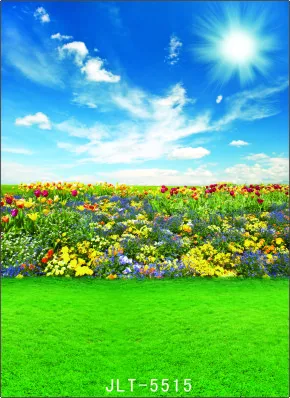 

300cm*300cm Vinyl Custom Photography Backdrops Prop Digital Photo Studio Background  S-5515