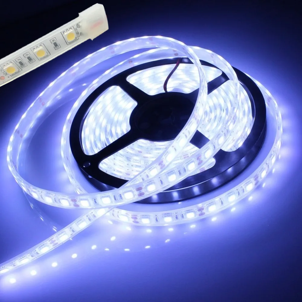 led strip light 5050 silicon tube waterproof ip67 ip68 dc12V 300led 5m RGB white warmwhite red