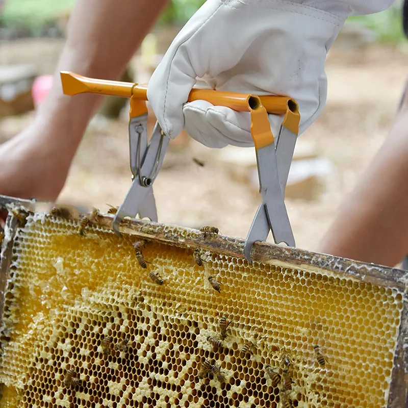 

Beekeeping Tool Beekeeping Equipment Stainless Steel Bee Hive Frame Holder Grip Lifter and Gripper Cabinet Clip Rack