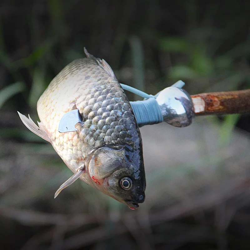 8710156634_1112463004