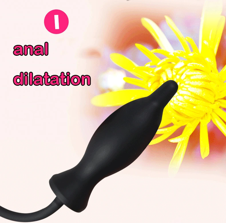 anal plug  (5)