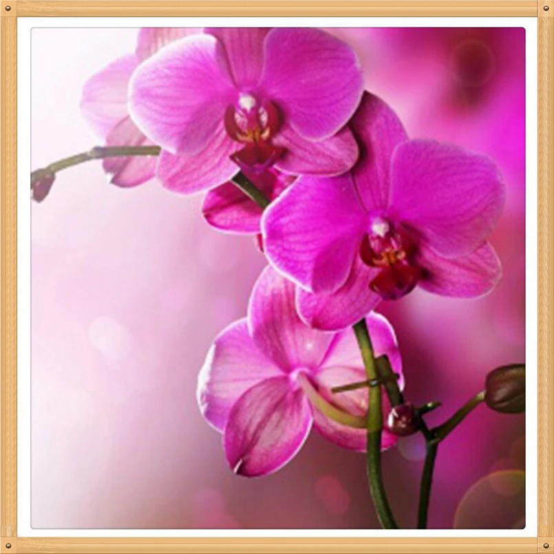 

3D Red Orchid 70x70cm Needlework Diamond Embroidery Painting Home Decor Diamond Mosaic Pattern Full Square Diamond Painting