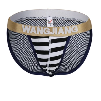 

AIIOU Sexy Mens Bikini Underwear Gay Mesh Transparent See Through Striped Cotton Pouch Underpants Underwear for Men Briefs