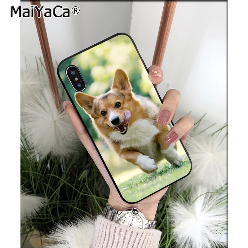 Anime Corgi dog