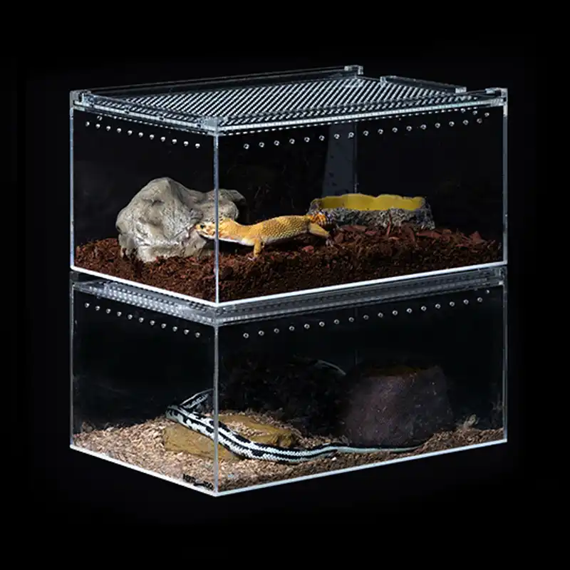 acrylic reptile enclosure