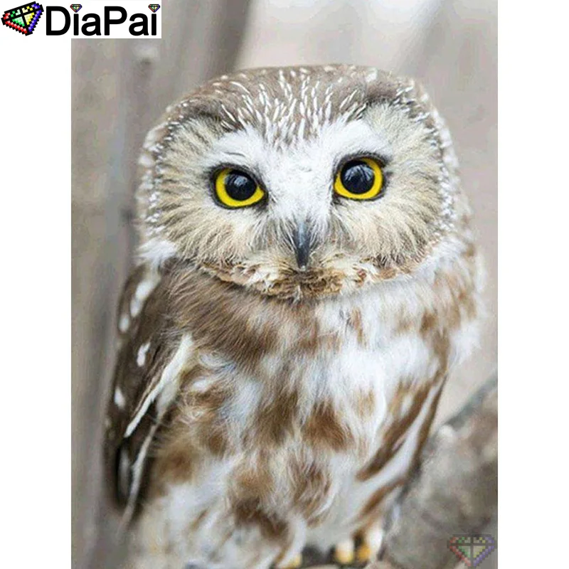 DIAPAI 100% Full Square/Round Drill 5D DIY Diamond Painting &quotAnimal owl&quot Embroidery Cross Stitch 3D Decor A20035 | Дом и сад