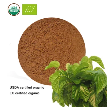 

USDA and EC Certified Organic mulberry leaf extract 20:1 1-Deoxynojirimycin 1-DNJ DNJ