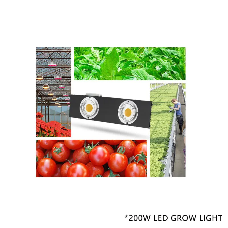 CREE CXB3590 CXB3070 CXA3070 200 Вт 36000LM 3500 К COB LED Grow Light полный спектр растущая лампа для