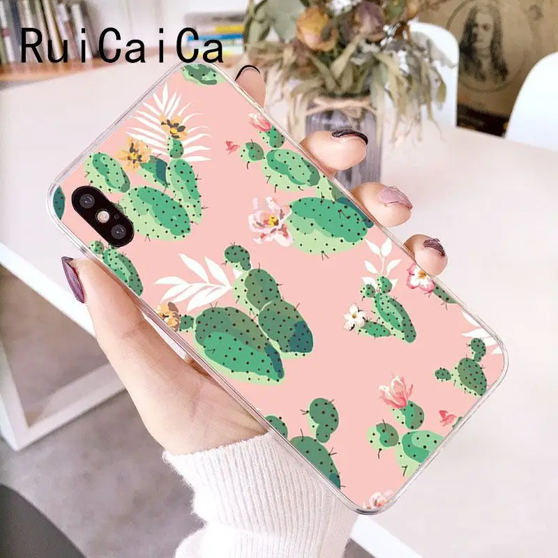Candy Color Art Cactus Plant