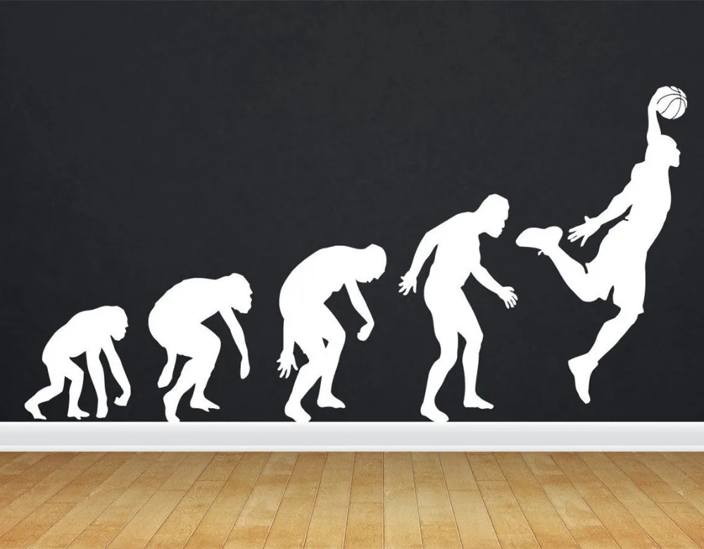 Removable Sports Stickers Home Decor Wall Stickers Evolution play