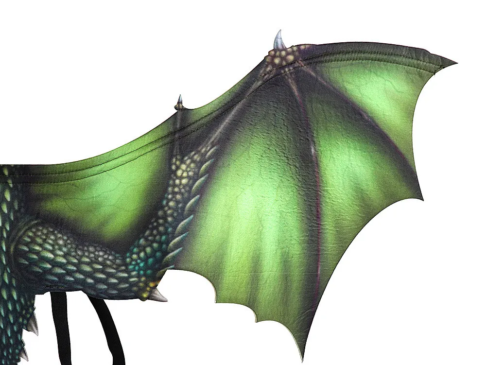 крылья дракона. крылья дракона. крылья дракона. как выглядят крылья дракона. как выглядят крылья дракона.