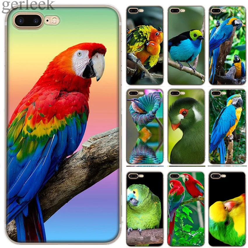 Чехол для телефона с изображением животных птиц попугаев iPhone 11 Pro 5 5S SE 6 6S 7 8 Plus X XR XS