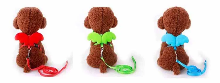 Cute Angel Pet Dog Leashes and Collars Set Puppy Leads for Small Dogs Cats Designer Wing Adjustable Dog Harness Pet Accessories Wholesale2