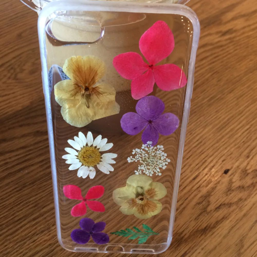 Buy For iPhone 7 Dried Flower Cases DIY Pressed Daisy